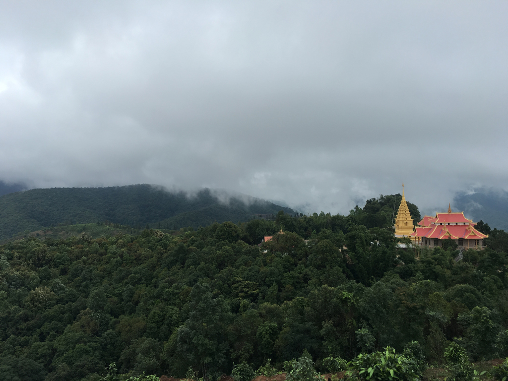 西双版纳布朗山