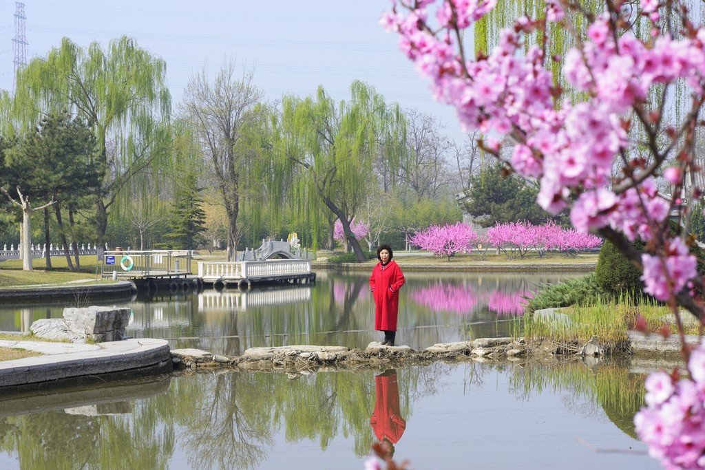 柳暗花明.