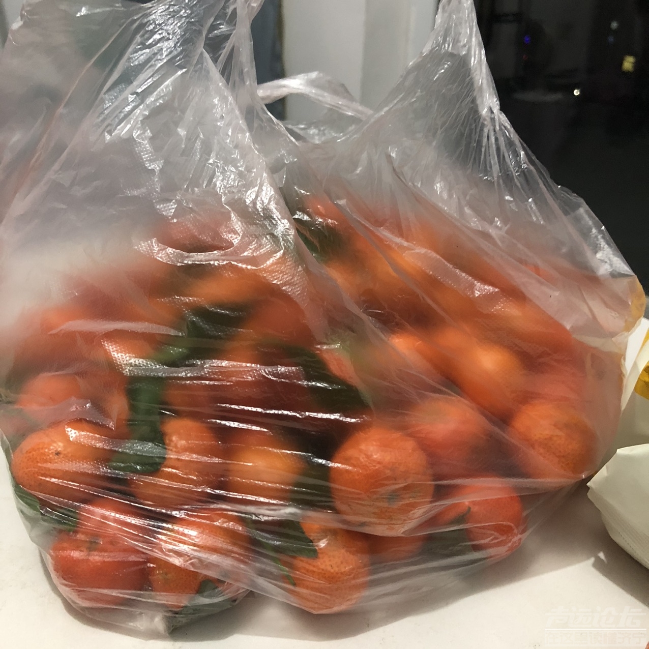 我姐姐回来买了一大袋子