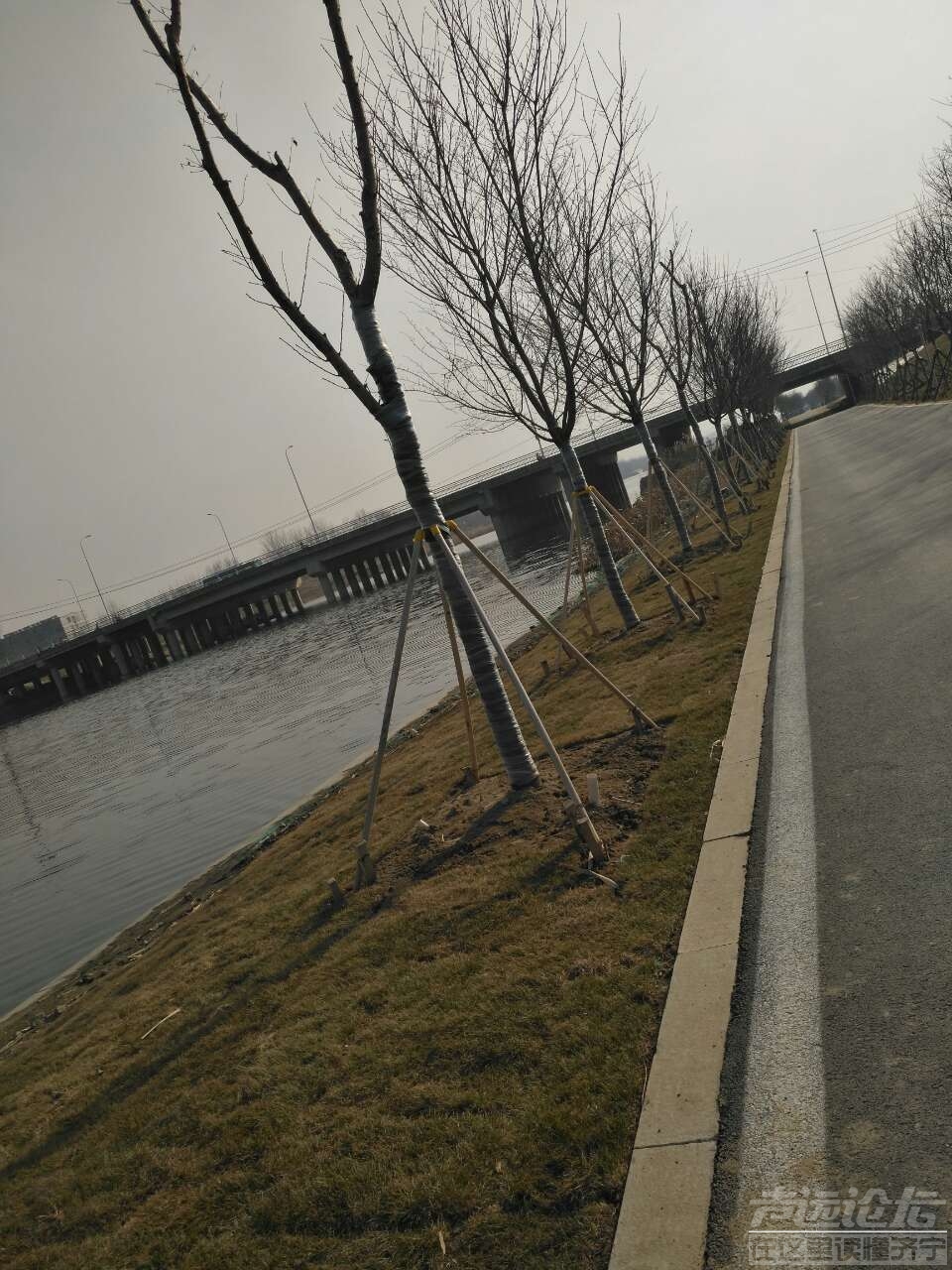 [济宁资讯] 洸府河的春天