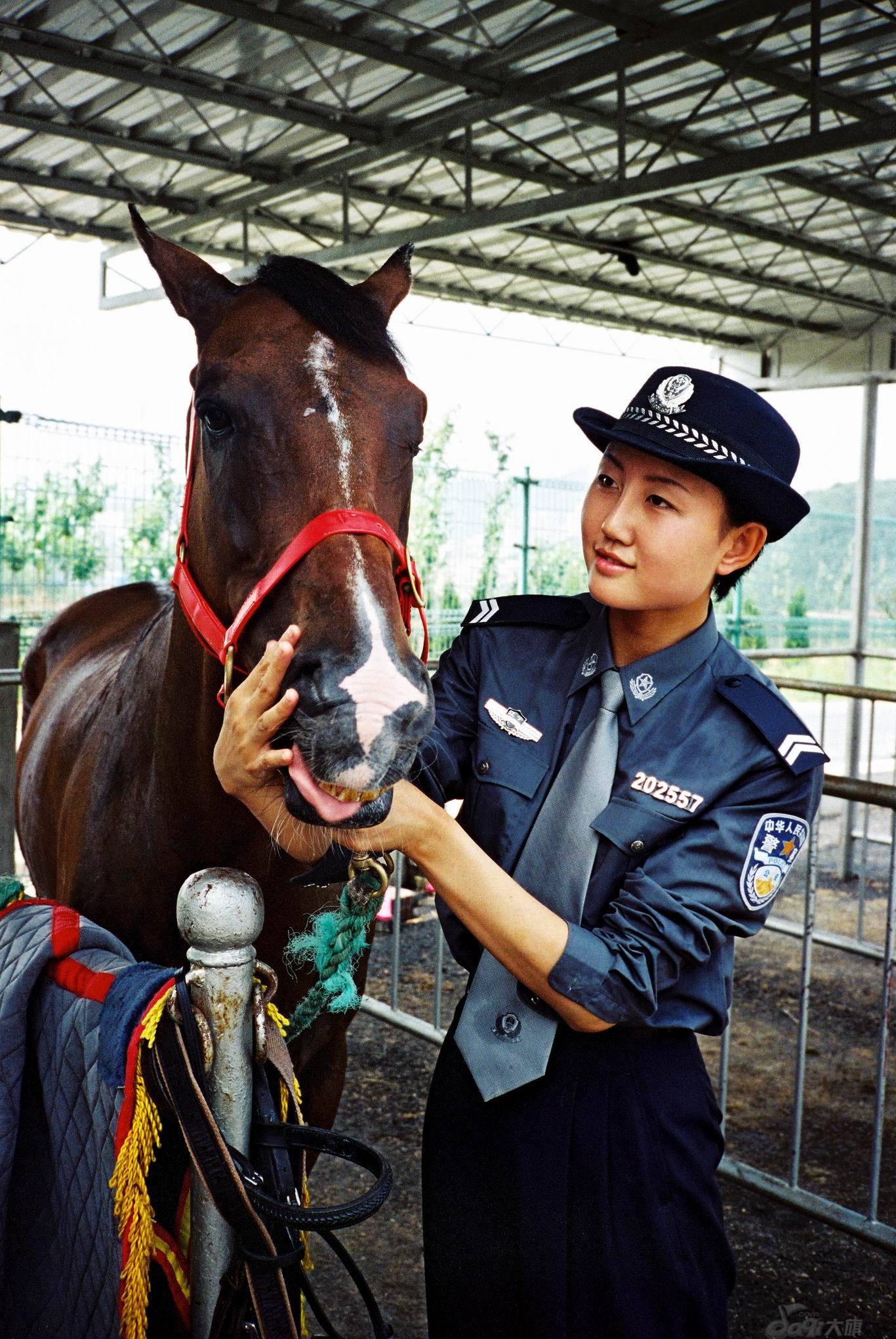 大连女骑警