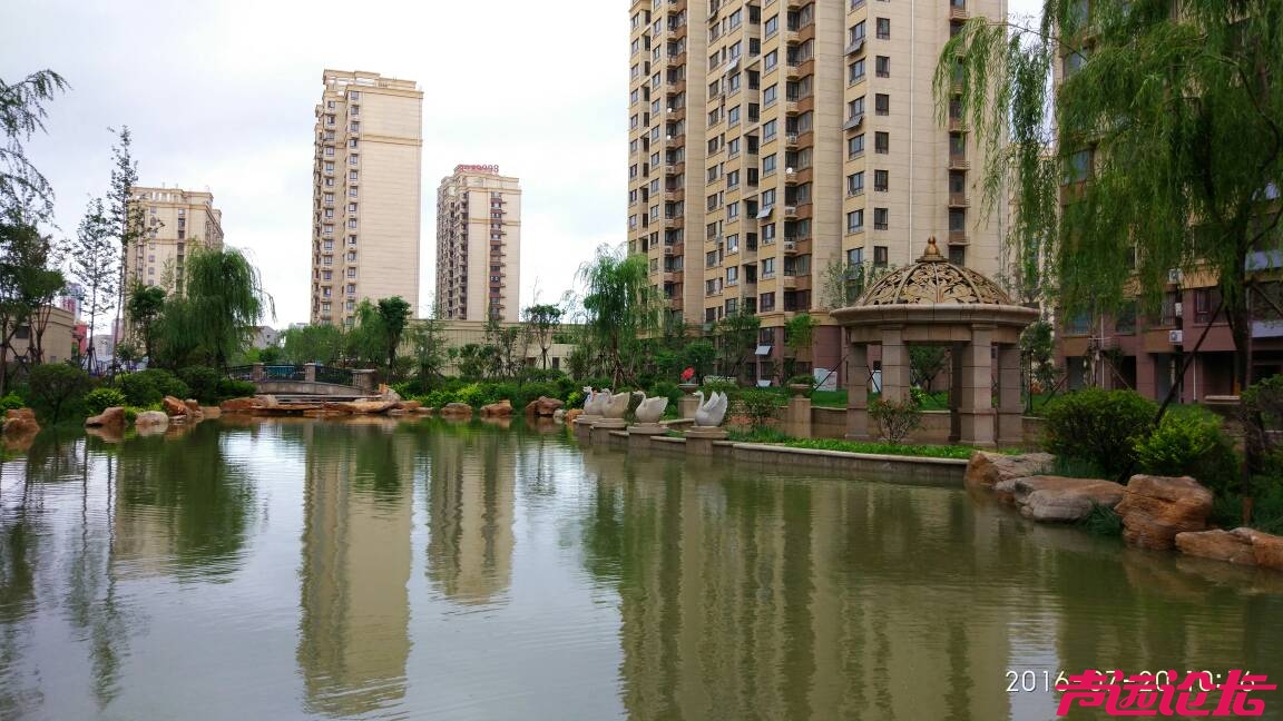 雨后的东南华城,景色秀丽,关注济宁 — 声远论坛