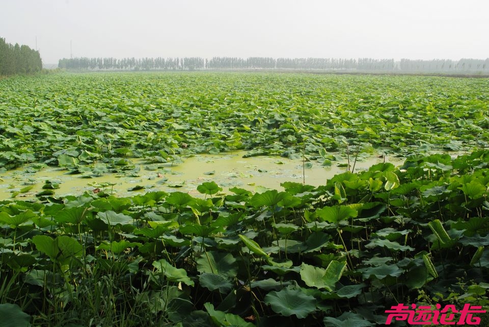 鹿鸣岛,欢乐谷.