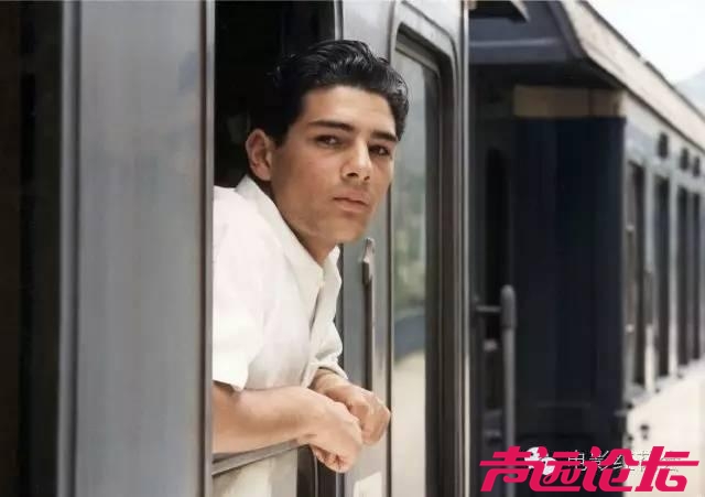 朱塞佩.托纳多雷 述不尽的痴恋,说说托纳多雷的西西里情结