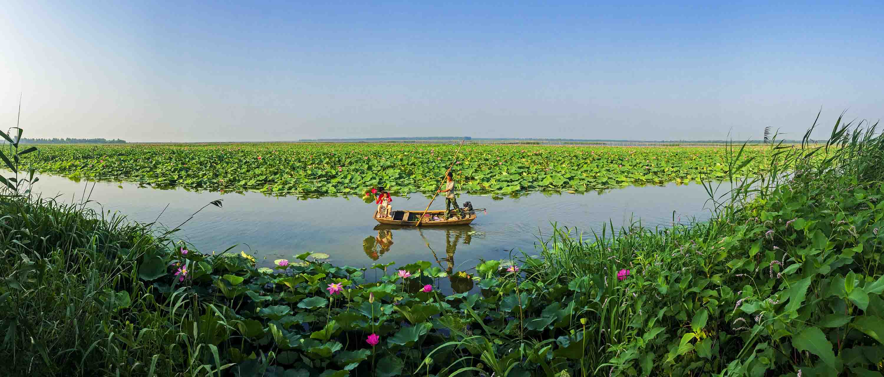 逛湖 刘华 1805373737 2016年7月 微山湖