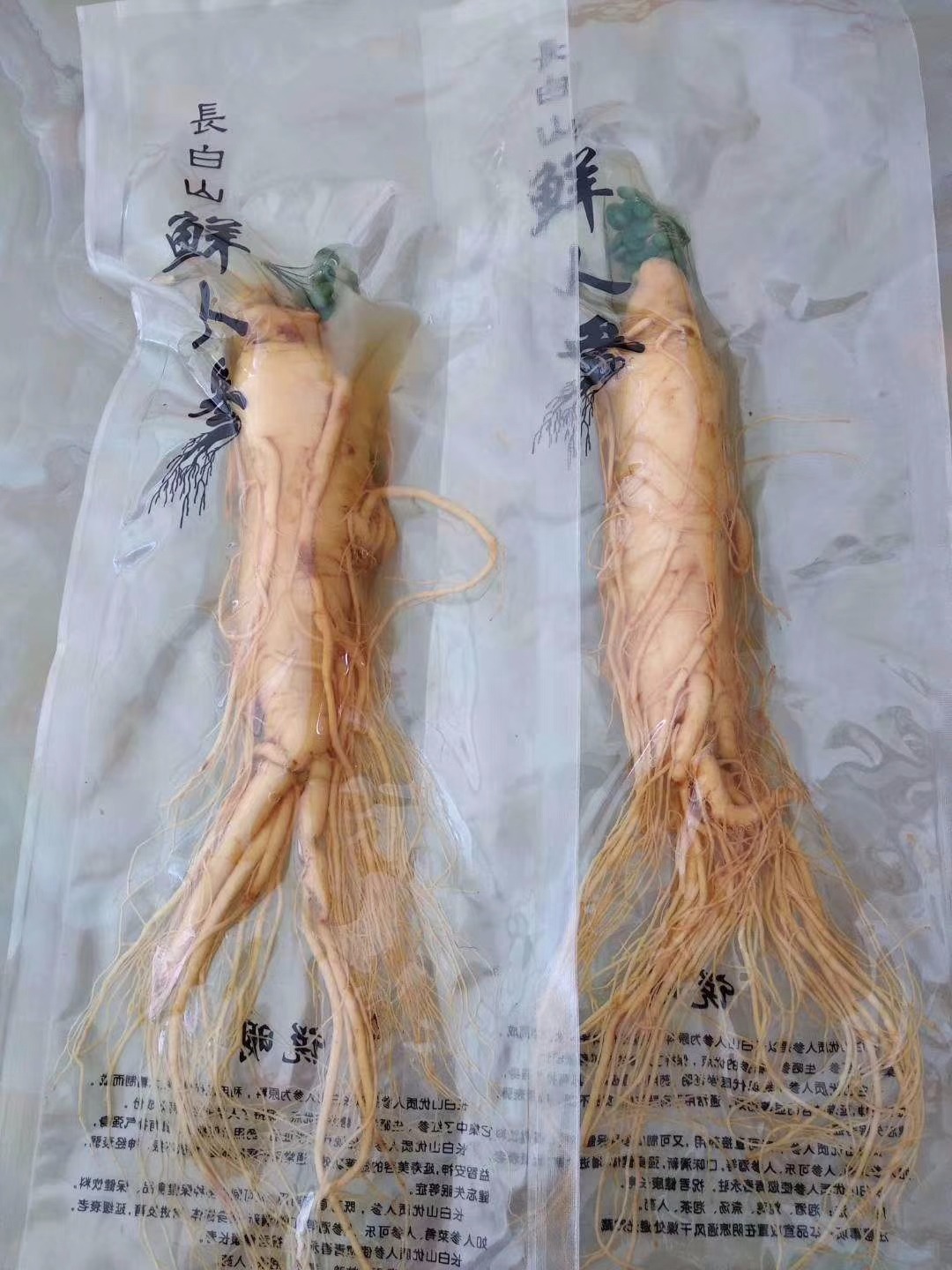 泡酒必备大人参