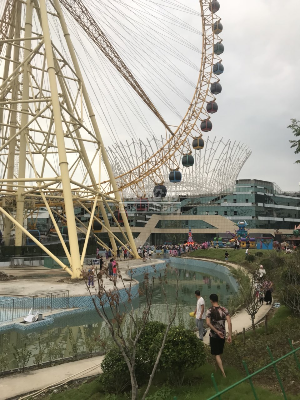 文博城晚上这么嗨吗,关注济宁 — 声远论坛