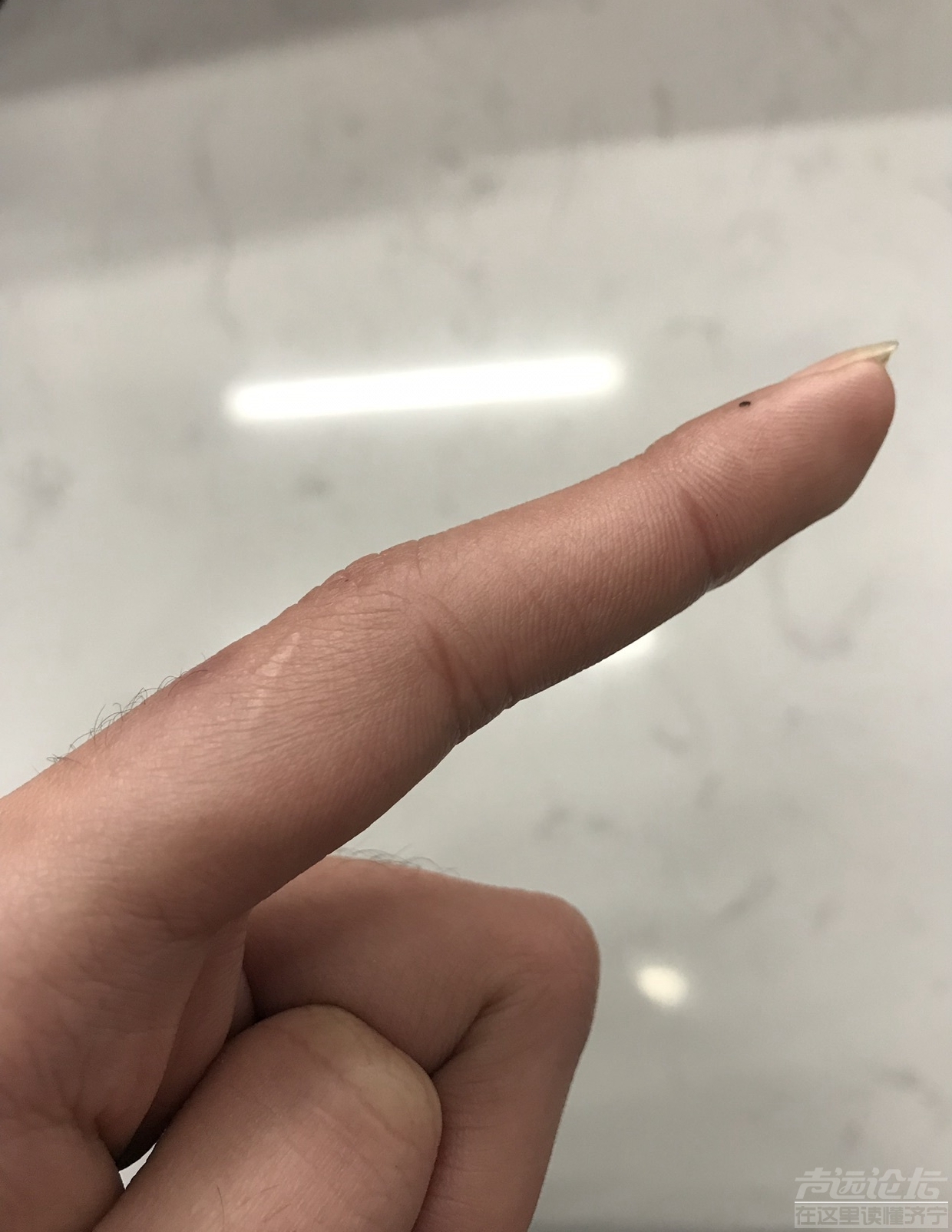 据说每个人左手食指都有一道疤,我自己就有,都不知道什么时候有的