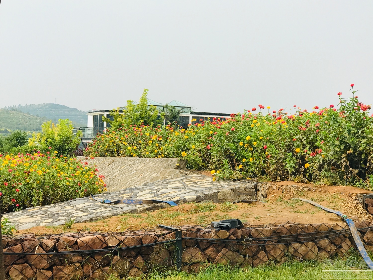 东方左岸 . 假日小镇