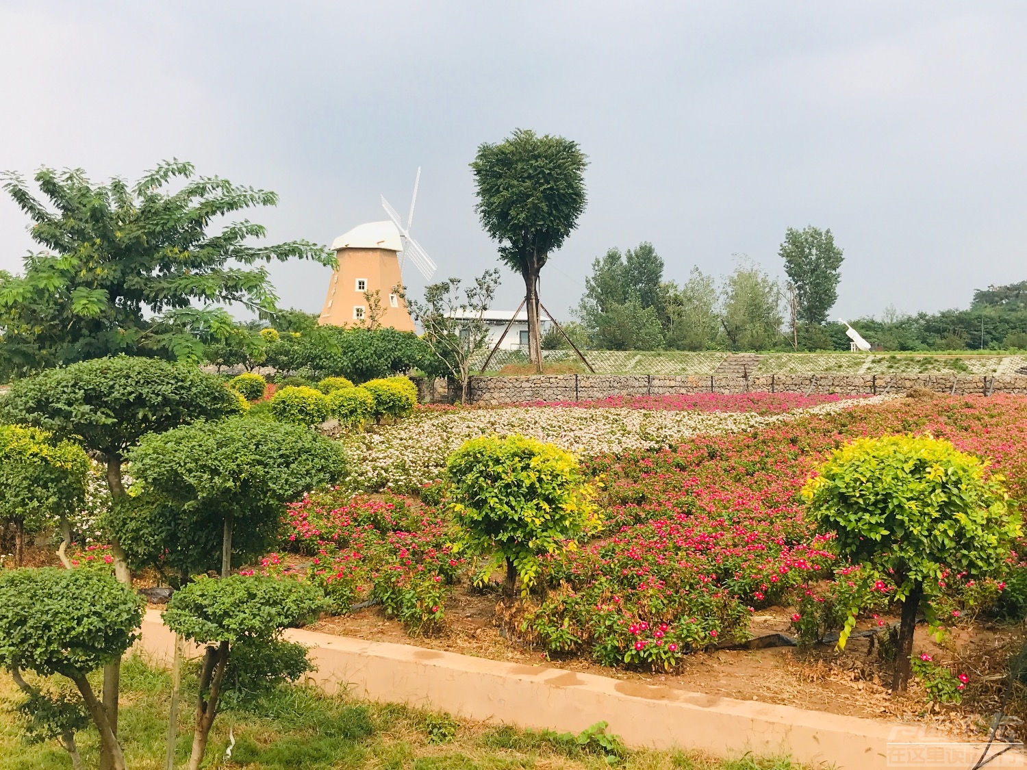 东方左岸 . 假日小镇