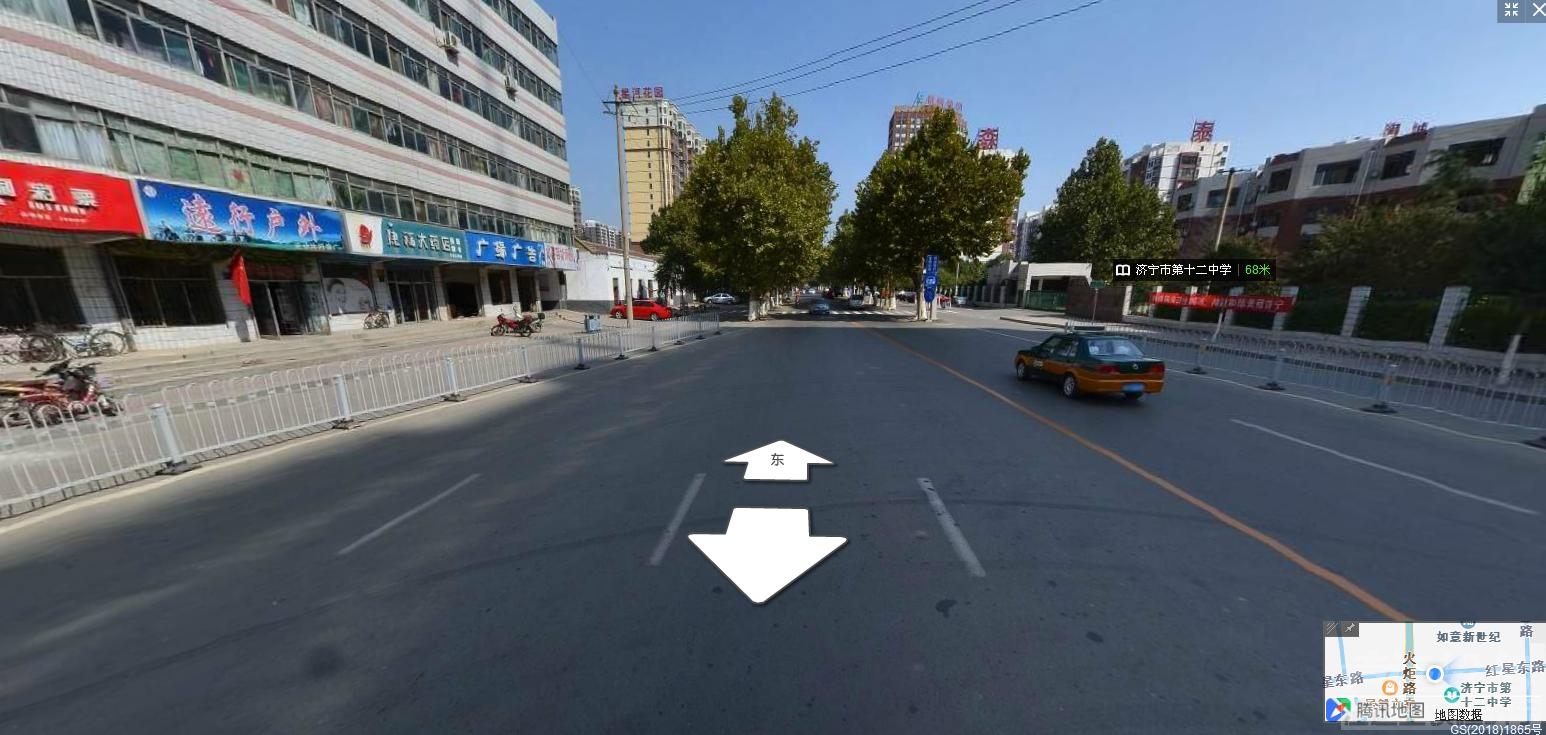 红星路市委门口的法桐树早就砍了,关注济宁 — 声远论坛