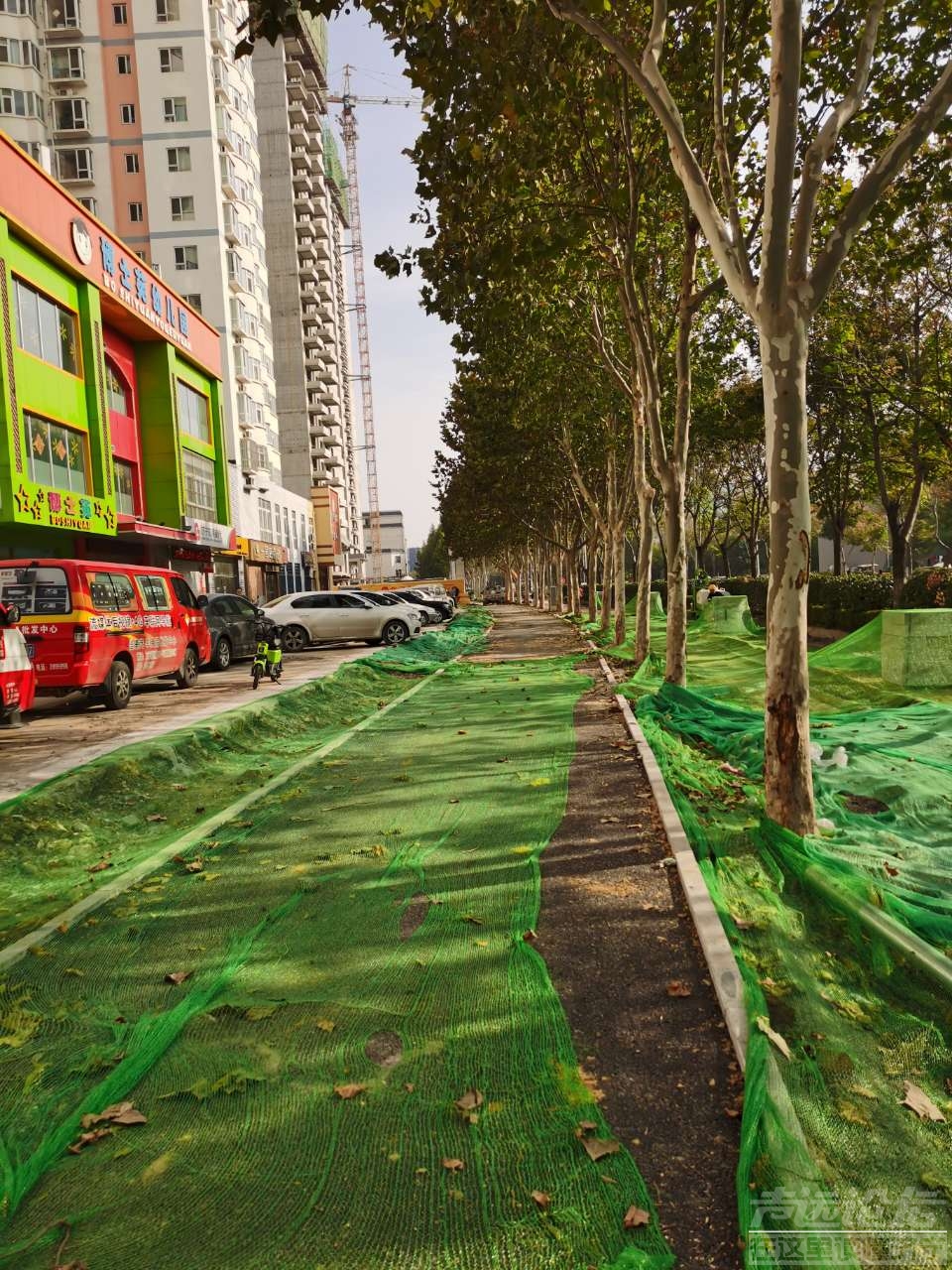这不是没拓宽  河边上架高空步行道,原人行道变非机动车道,非机动