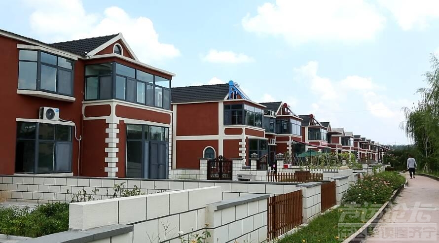 "中国大蒜第一村"家家住别墅