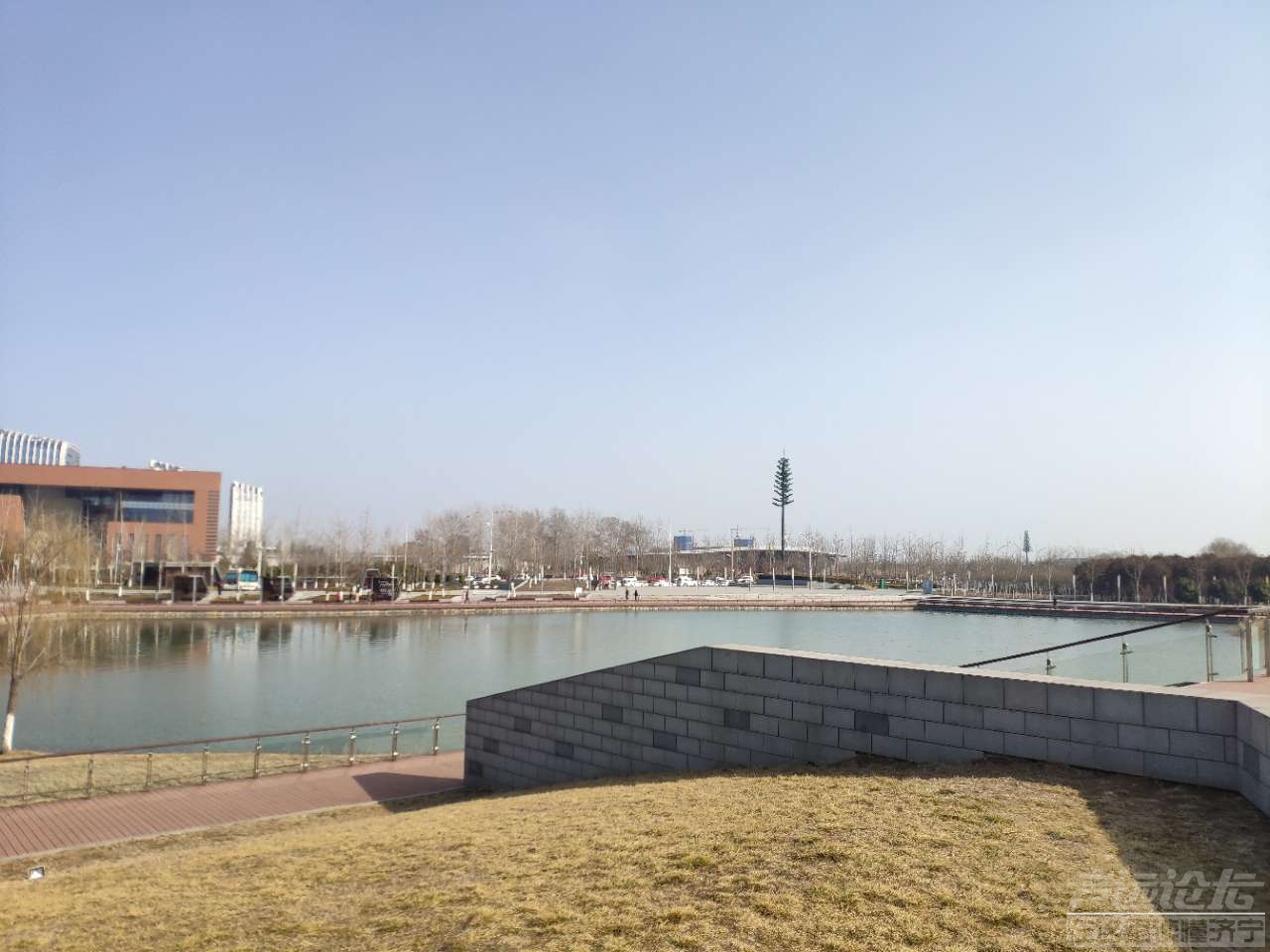 打卡市民公园!偶遇啦!,关注济宁 — 声远论坛