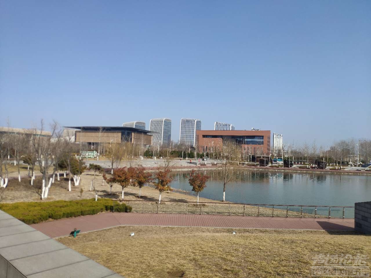 打卡市民公园!偶遇啦!,关注济宁 — 声远论坛
