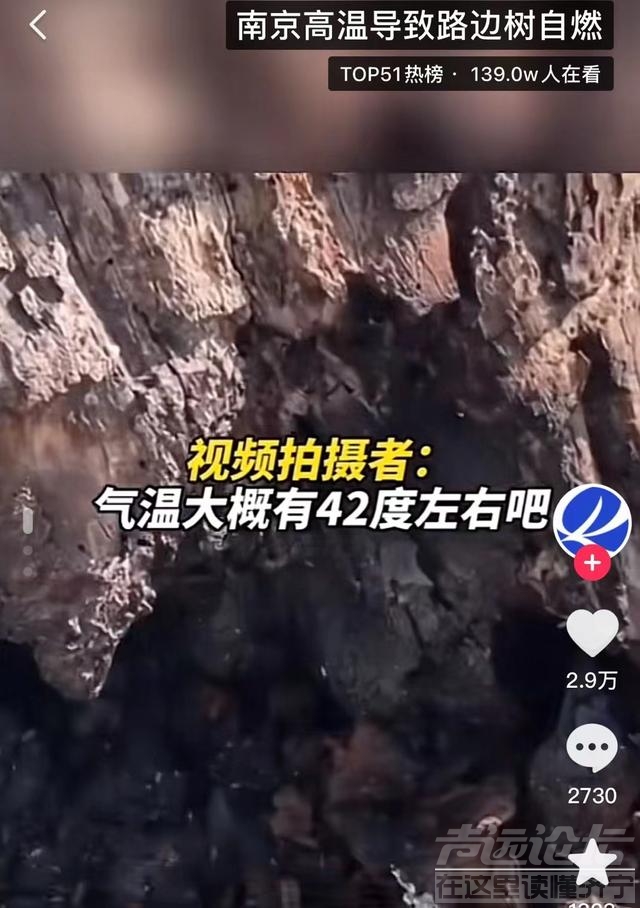 罕见！河南地表最高温74℃，南京树木自燃烧断根，为何如此反常？-4.jpg